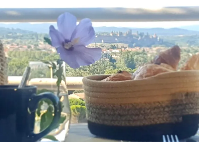 Panorama & 4* Carcassonne